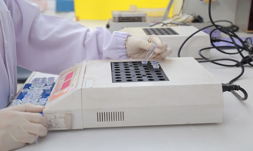 ELISA